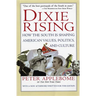Dixie Rising: How the South Is Shaping American Values, Politics, and Culture