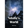 Ndalla's World