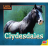 Clydesdales
