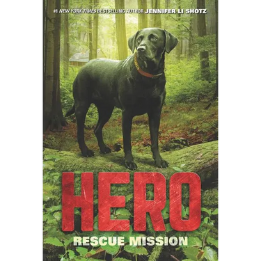 Hero: Rescue Mission