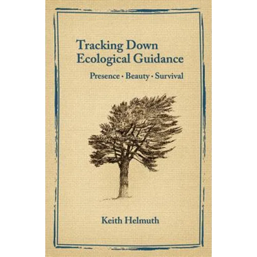 Tracking Down Ecological Guidance: Presence, Beauty, Survival