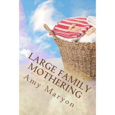 Large Family Mothering: Building your home one piece at a time