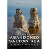 Abandoned Salton Sea: Dystopian Panoramas