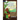 Grandma Marie's Stories