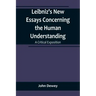 Leibniz's New Essays Concerning the Human Understanding: A Critical Exposition