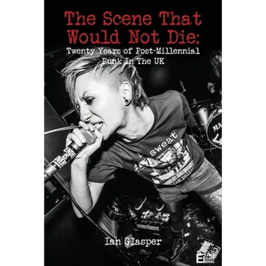 The scene that would not die: Twenty years of post-millennial punk in the UK