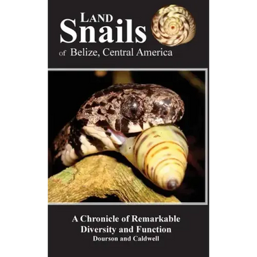 Land Snails of Belize, Central America: A Remarkable Chronicle of Diversity and Function