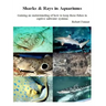 Sharks & Rays in Aquariums: Gaining an understanding of how to keep these fishes in captive saltwater systems
