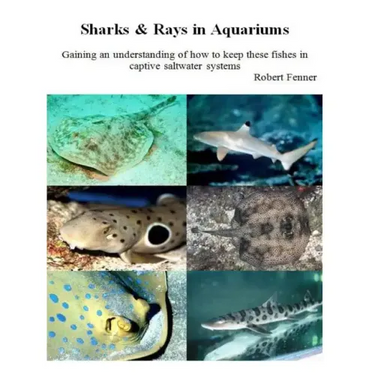 Sharks & Rays in Aquariums: Gaining an understanding of how to keep these fishes in captive saltwater systems