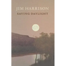 Saving Daylight