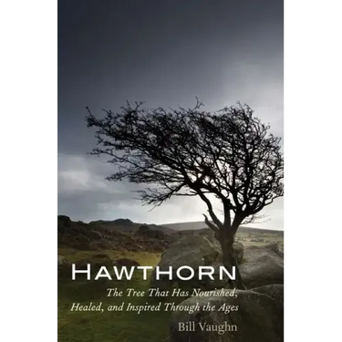 Hawthorn: The Tree That Has Nourished, Healed, and Inspired Through the Ages