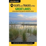 Scats and Tracks of the Great Lakes