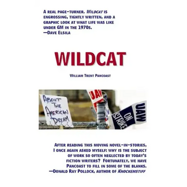 Wildcat