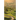 Twisted Path