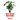Don't Repot That Plant!: And Other Indoor Plant Care Mistakes