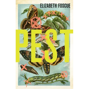 Pest