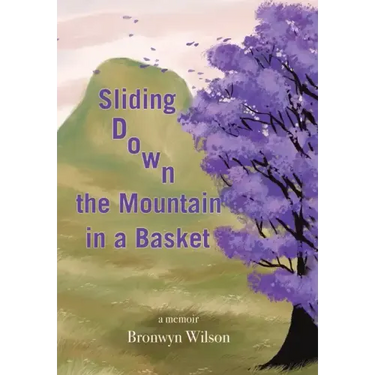 Sliding Down the Mountain in a Basket: Memoir