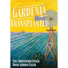 Gardenia Transplanted