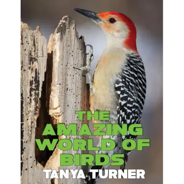 The Amazing World of Birds: Do Your Kids Know This?: A Children's Picture Book