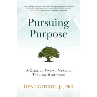 Pursuing Purpose: A Guide To Finding Meaning Through Meditation