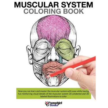 Muscular System Coloring Book