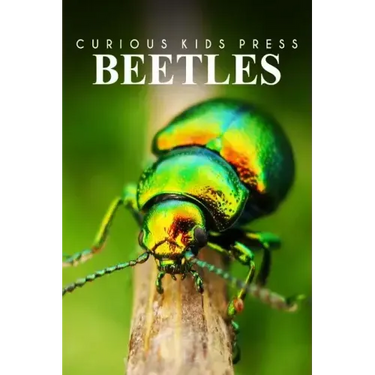 Beetles - Curious Kids Press: Kids book about animals and wildlife, Children's books 4-6