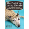 The Dog Stays in the Picture: How My Rescued Greyhound Helped Me Cope with My Empty Nest