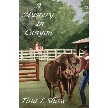 A Mystery In Canyon
