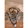 Seanachai: the storyteller's story