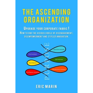 The Ascending Organization: Upgrade your corporate fabric! How to end the vicious circle of disengagement, disempowerment and stifled innovation.