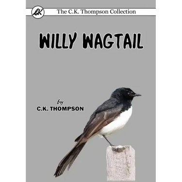 Willy Wagtail