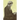 The Heretic in Darwin's Court: The Life of Alfred Russel Wallace