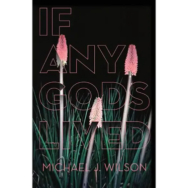 If Any Gods Lived: Poems