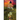 Something Fatal