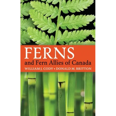 Ferns and Fern Allies of Canada