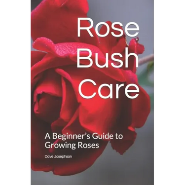Rose Bush Care: A Beginner's Guide to Growing Roses