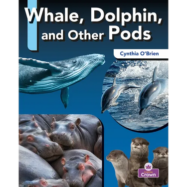 Whale, Dolphin, and Other Pods