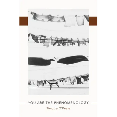 You Are the Phenomenology