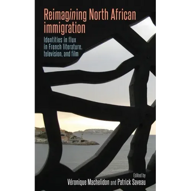 Reimagining North African Immigration: Identities in Flux in French Literature, Television, and Film