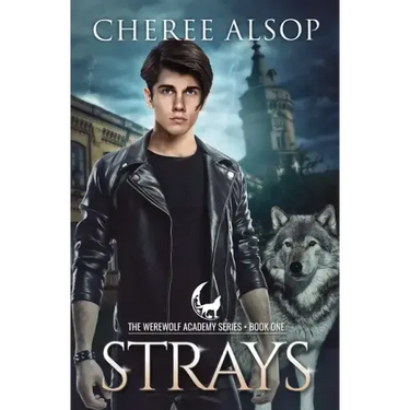 Werewolf Academy Book 1: Strays: Strays