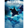 Broken Sky