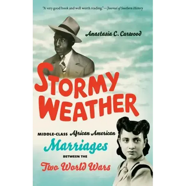 Stormy Weather: Middle-Class African American Marriages between the Two World Wars