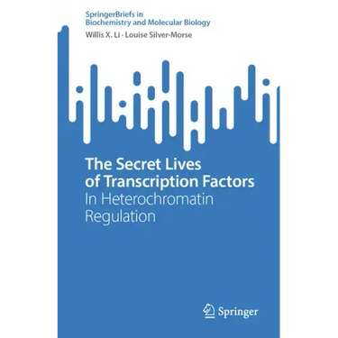 The Secret Lives of Transcription Factors: In Heterochromatin Regulation