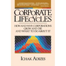 Corporate Lifecycles