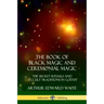 The Book of Black Magic and Ceremonial Magic: The Secret Rituals and Occult Traditions in Goëtia