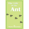 The Life of the Ant