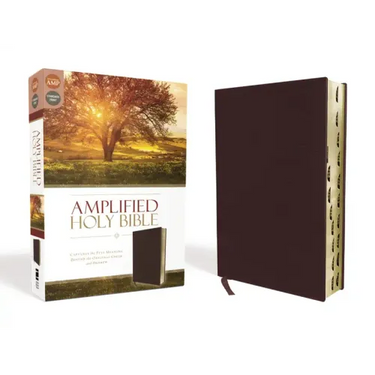 Amplified-Am: Captures the Full Meaning Behind the Original Greek and Hebrew