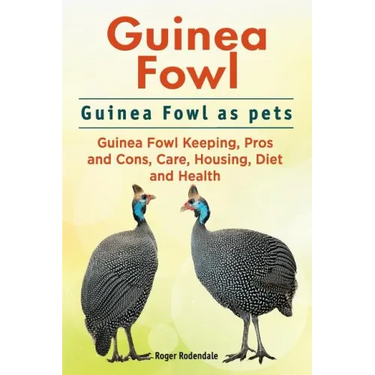 Guinea Fowl. Guinea Fowl as pets. Guinea Fowl Keeping, Pros and Cons, Care, Housing, Diet and Health.