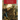 The Last Man