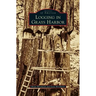 Logging in Grays Harbor